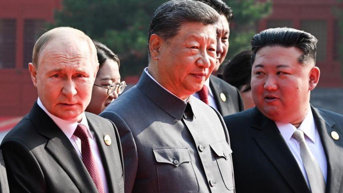 Halu soft |USAas to the vagina with new emails to Spain and European Requires of Chinese Choring Chi...