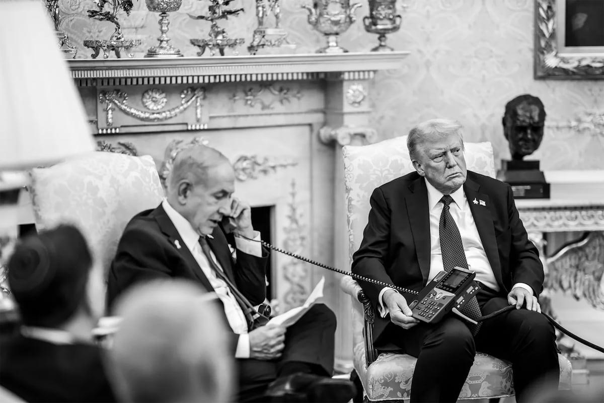 Winners and Trump's Trump Plan Those Lost |Similar