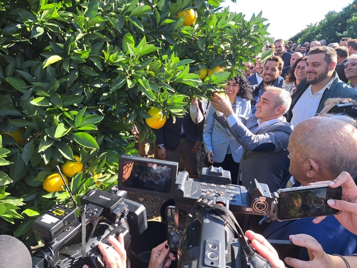 PGI Oranges Valencia campaign 2025-2026 will start |Plaza Valencia