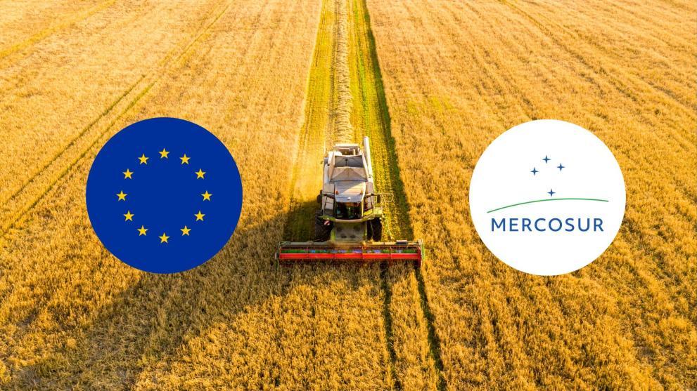 Grupos agroalimentarios condenan la 