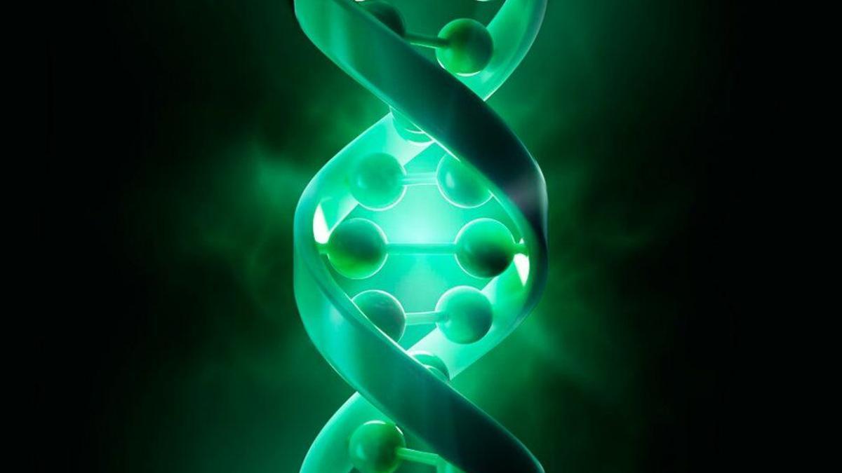 Un nuevo enfoque de edición genética podría tratar varias enfermedades raras