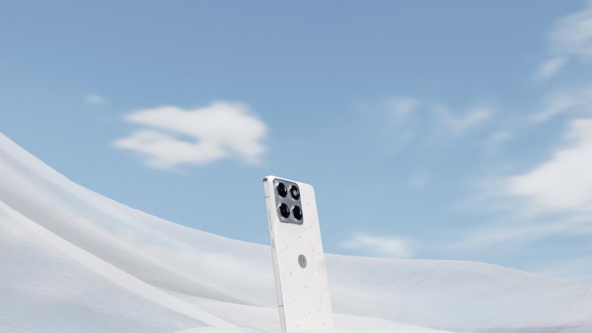 La guerra de colores y el tipo llamado 'transphy myucia Roocia Roocia'